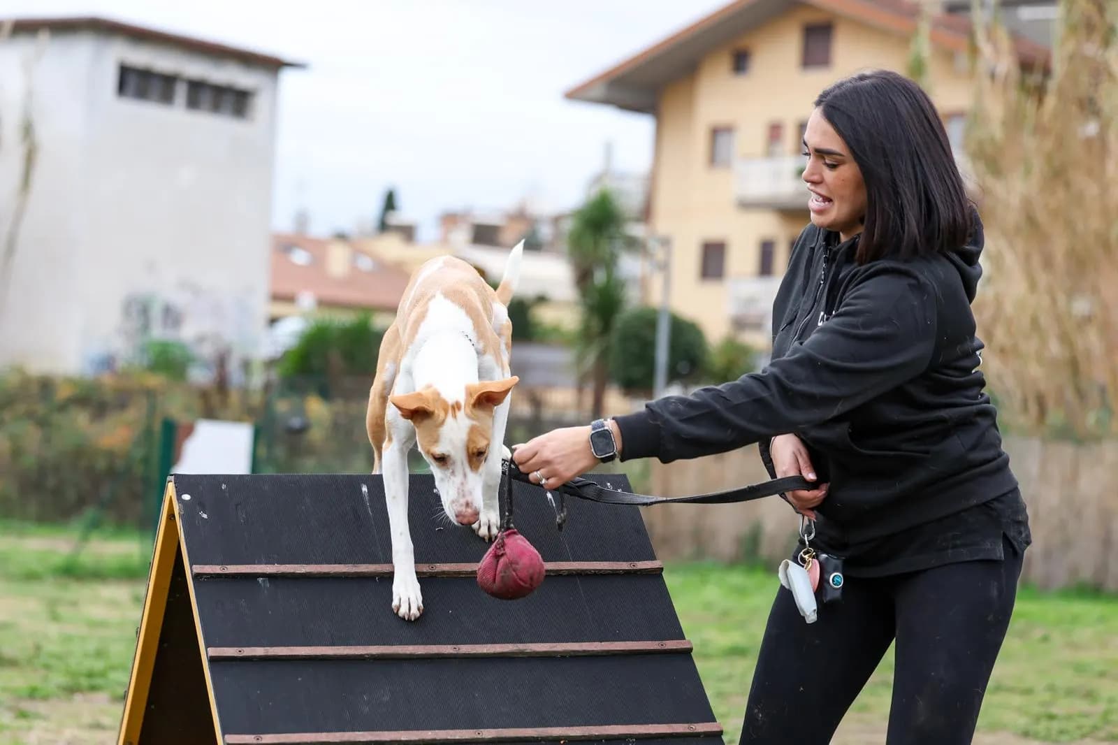 Sport cinofili al centro, foto 2